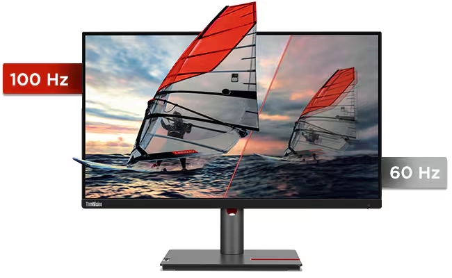 Écran Lenovo ThinkVision P25i-30 - 63F4MAT1EU