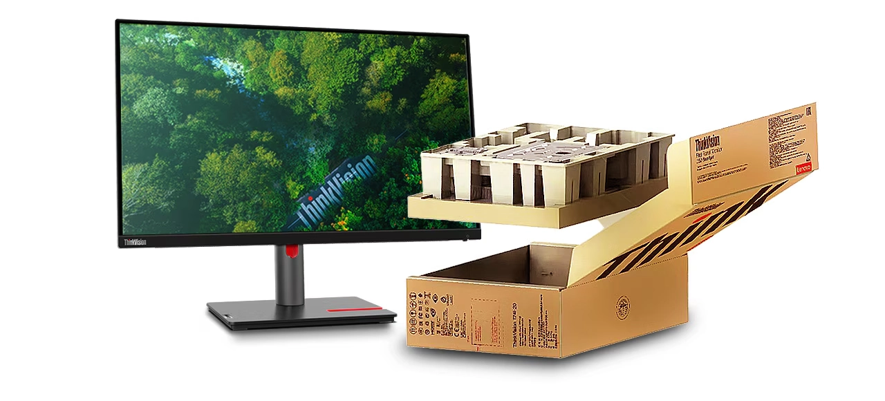 Écran Lenovo ThinkVision P25i-30 - 63F4MAT1EU